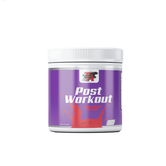 TA Post Workout Fruit Punch